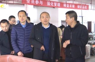 湖南省工信廳第九調研組深入湖南萌恒走訪調研